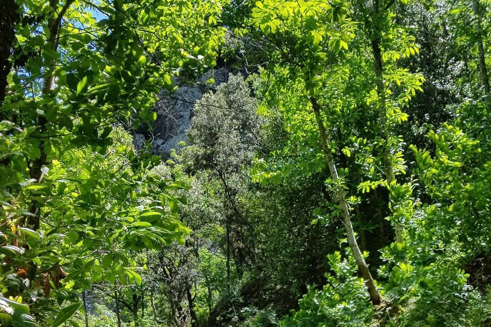 Photo of Outdoor in St Gervais sur Mare
