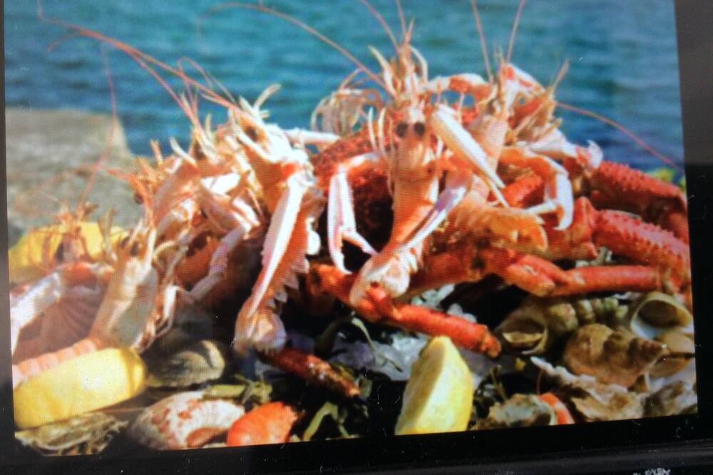 Photo of Others in Arromanches-les-Bains