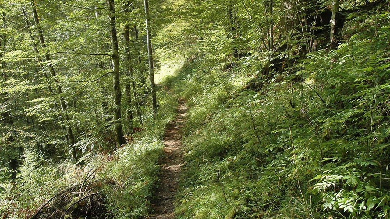 Photo of Outdoor in Le Locle