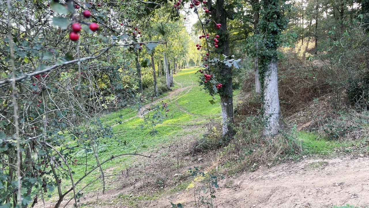 Photo of Outdoor in Saint-Andre-de-la-Marche
