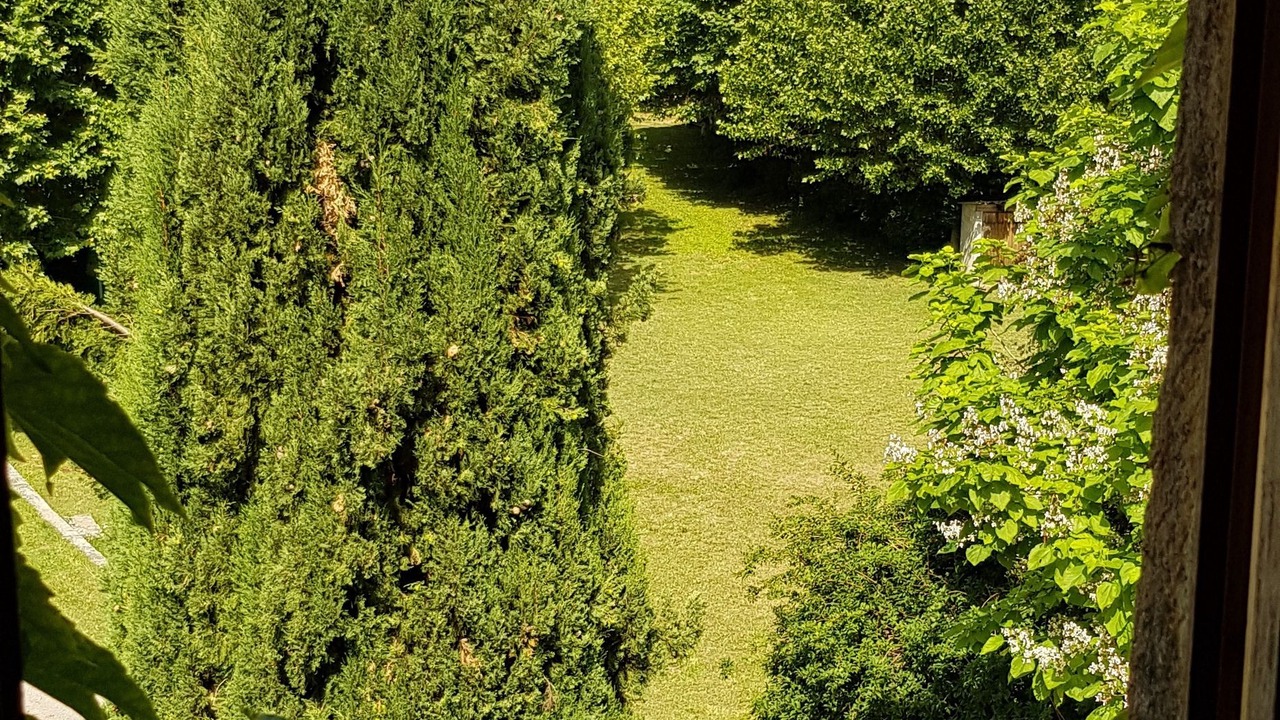 Photo of Outdoor in Coux