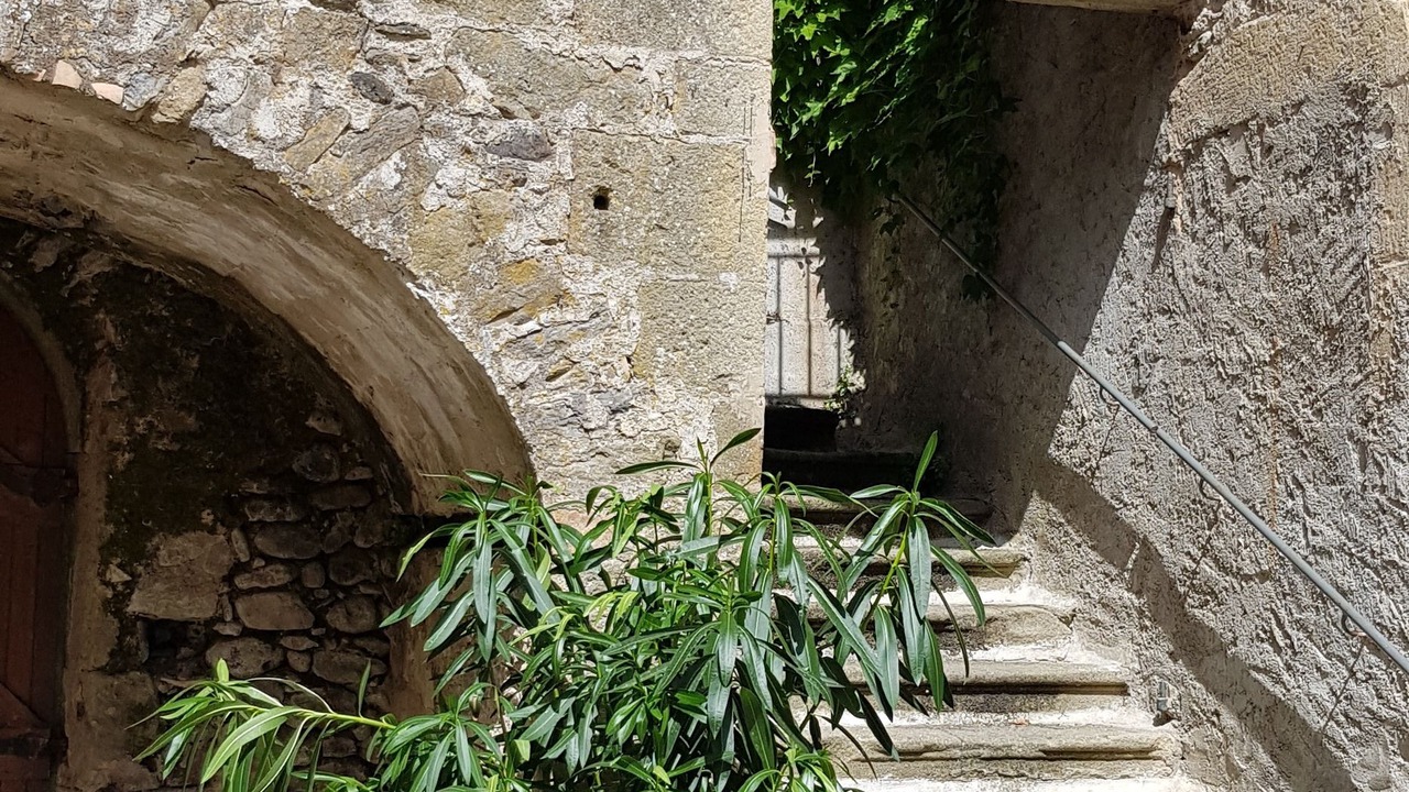 Photo of Outdoor in Coux