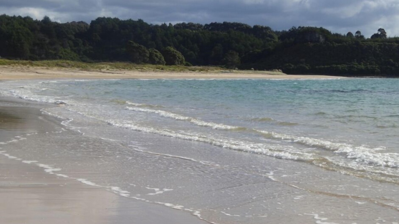 Photo of Others in Te Tii