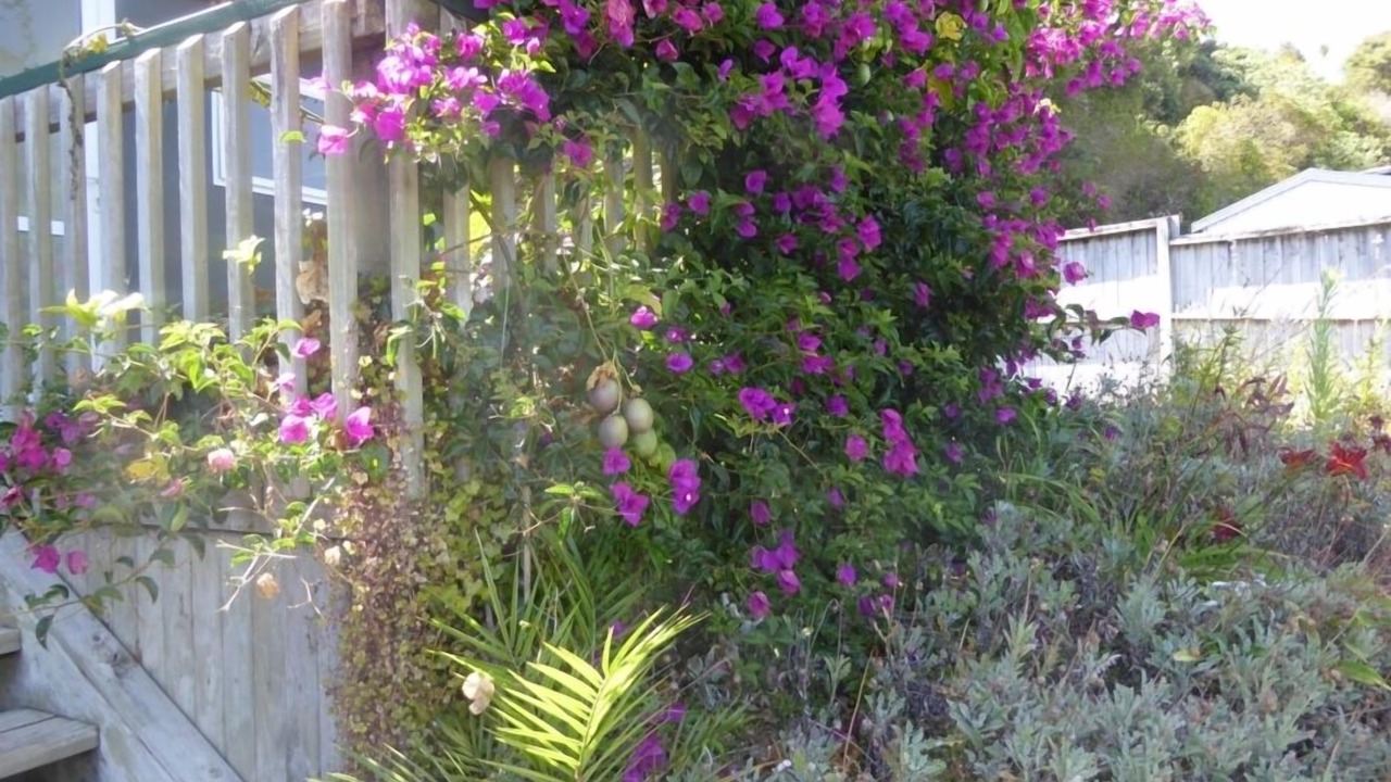 Photo of Outdoor in Te Tii