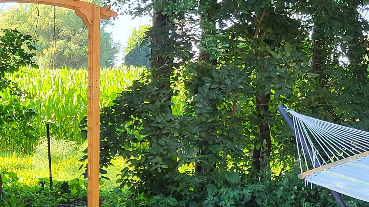 Photo of Outdoor in Lake View