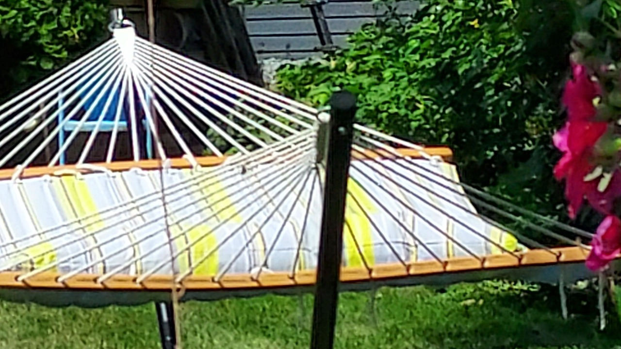 Photo of Outdoor in Lake View