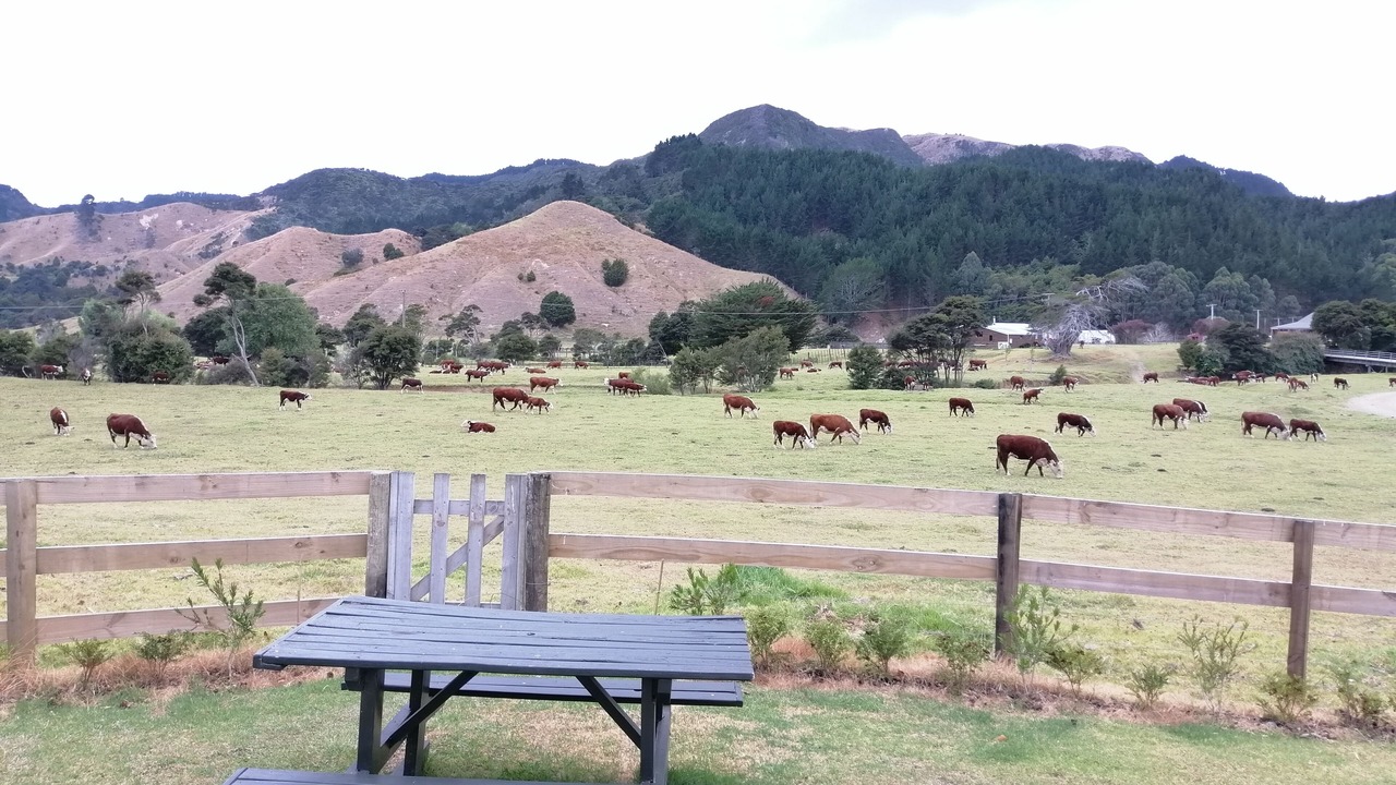 Photo of Outdoor in Colville