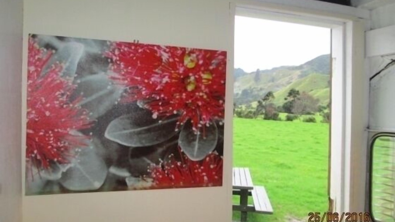 Photo of Others in Colville