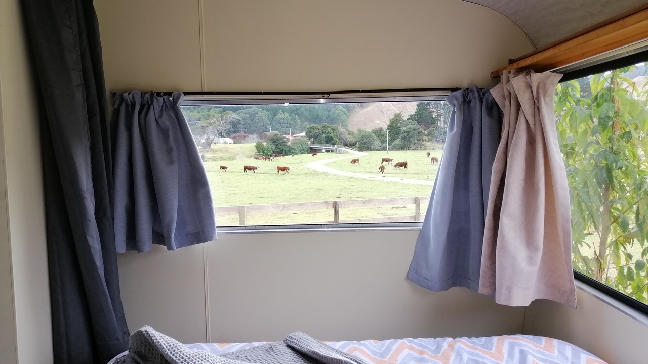 Photo of Others in Colville