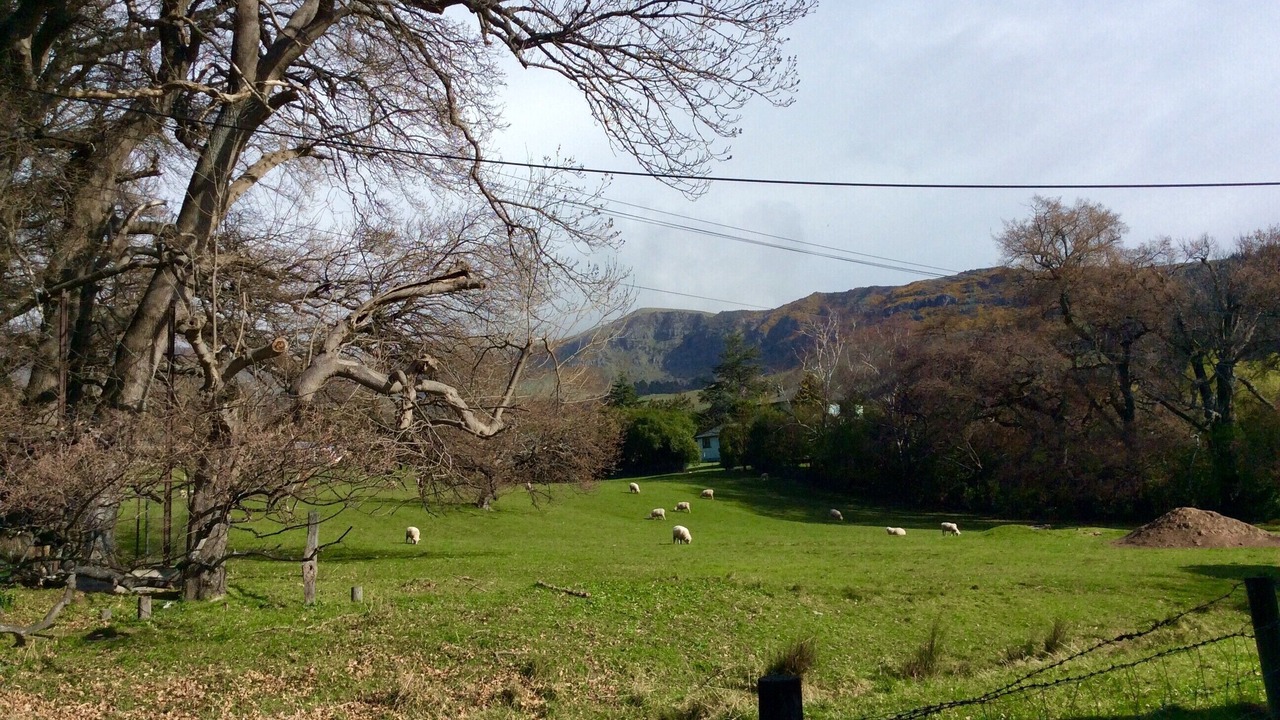 Photo of Outdoor in Christchurch District