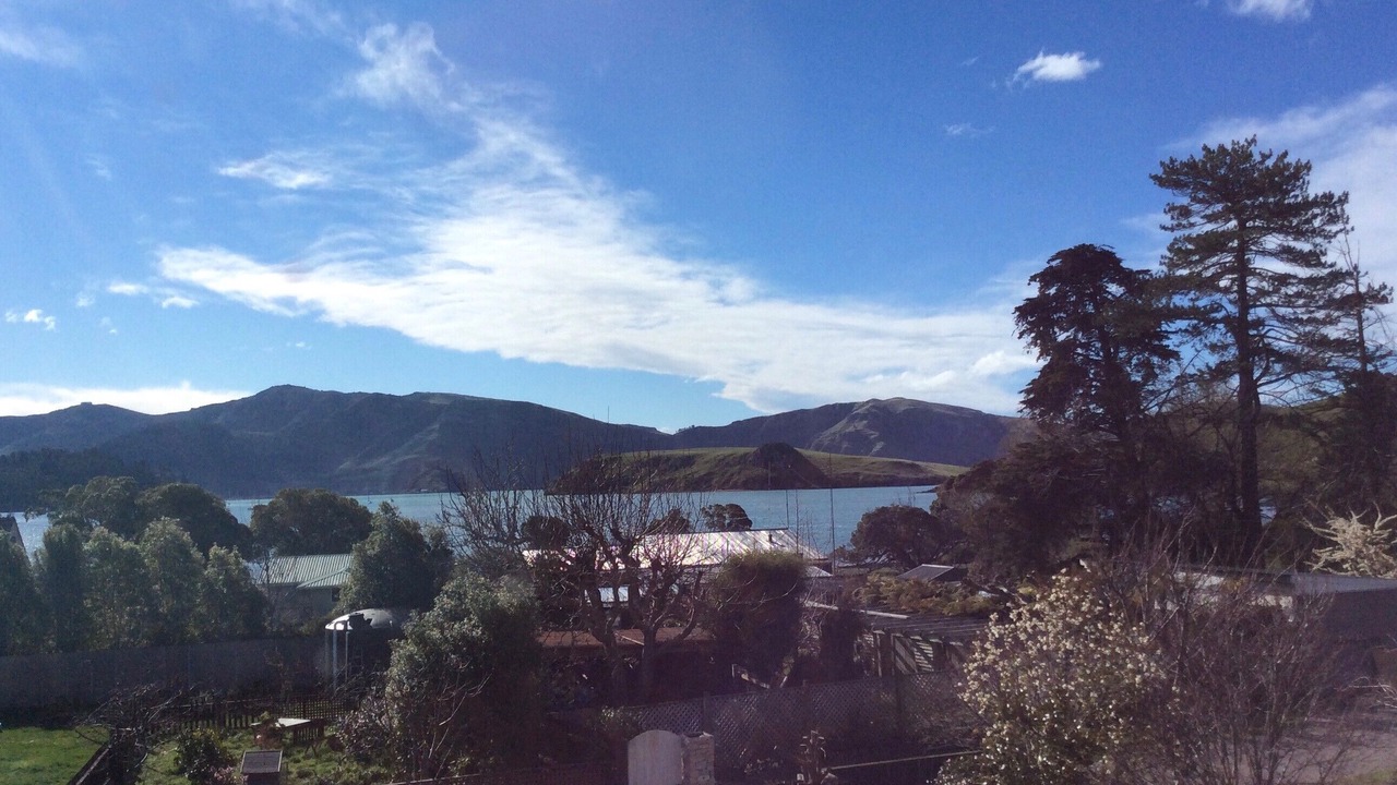 Photo of Others in Christchurch District