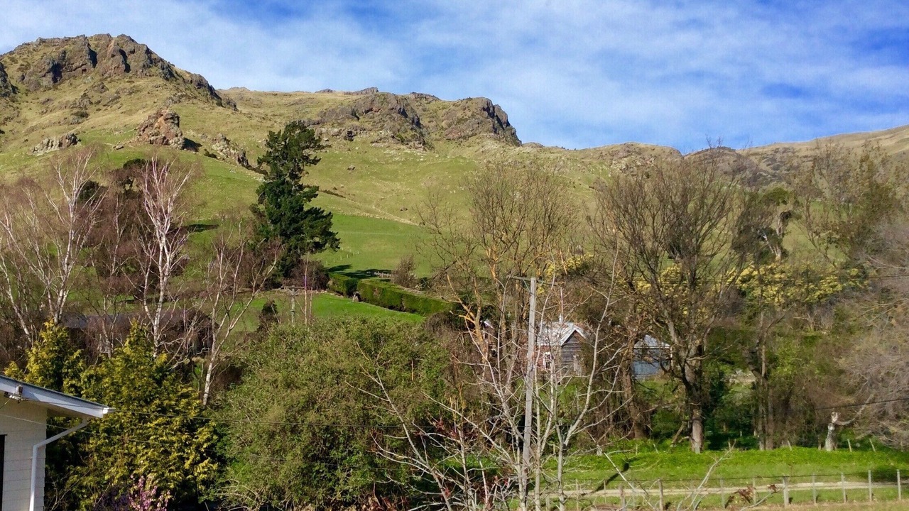 Photo of Outdoor in Christchurch District
