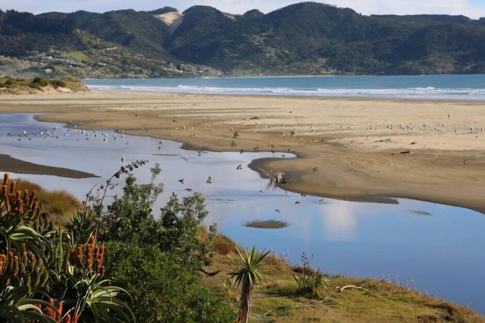 Photo of Others in Ahipara