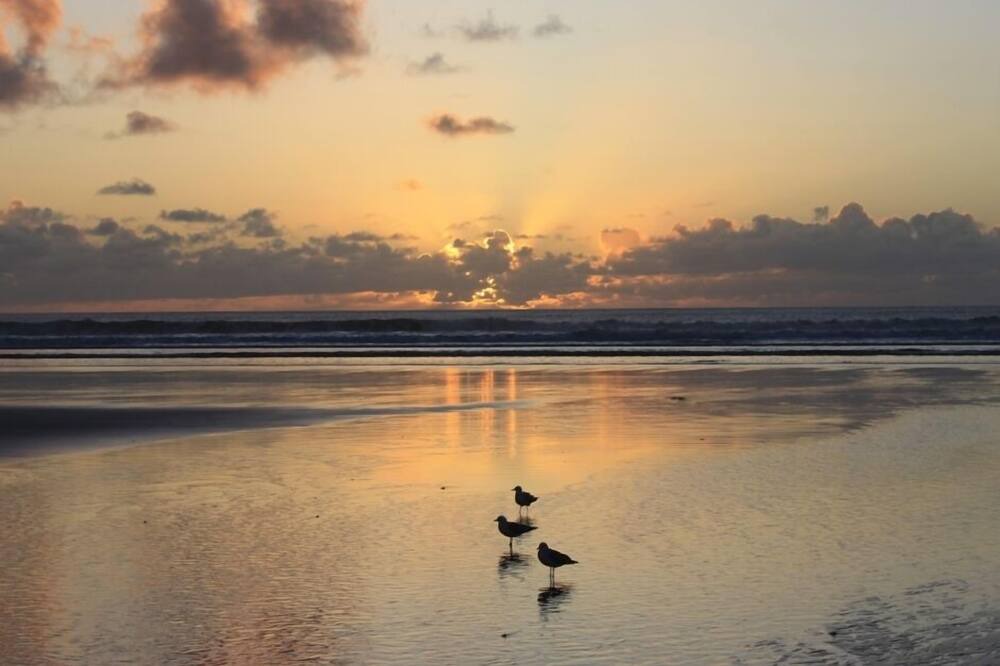 Photo of Others in Ahipara