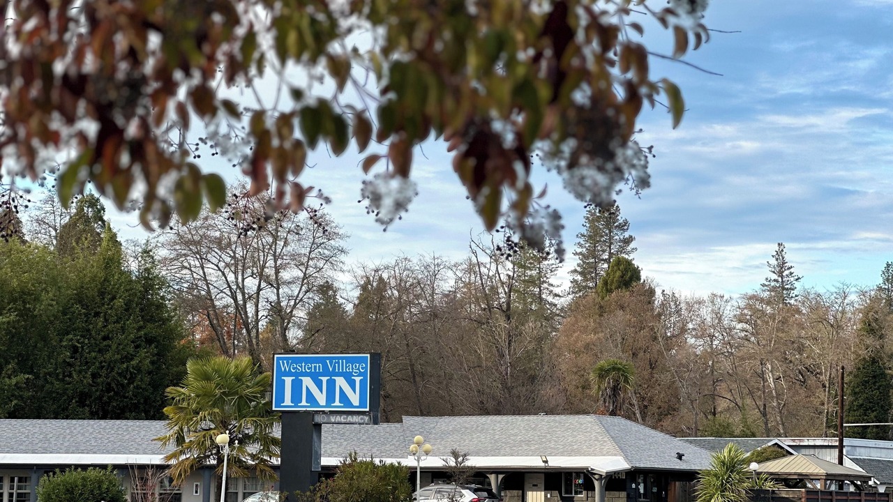 Photo of Outdoor in Willits