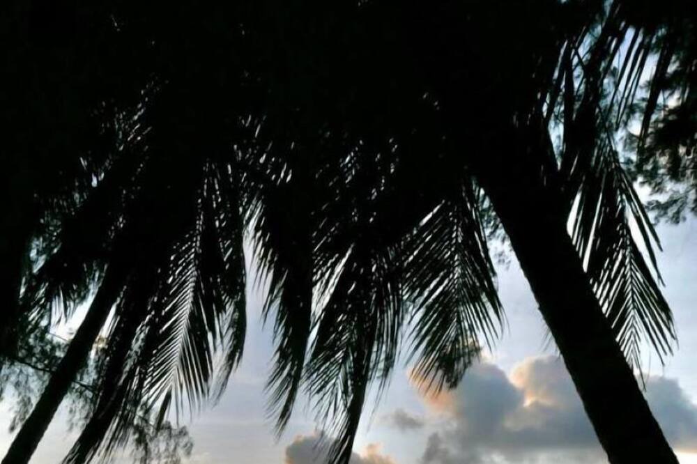 Photo of Others in Tioman Island