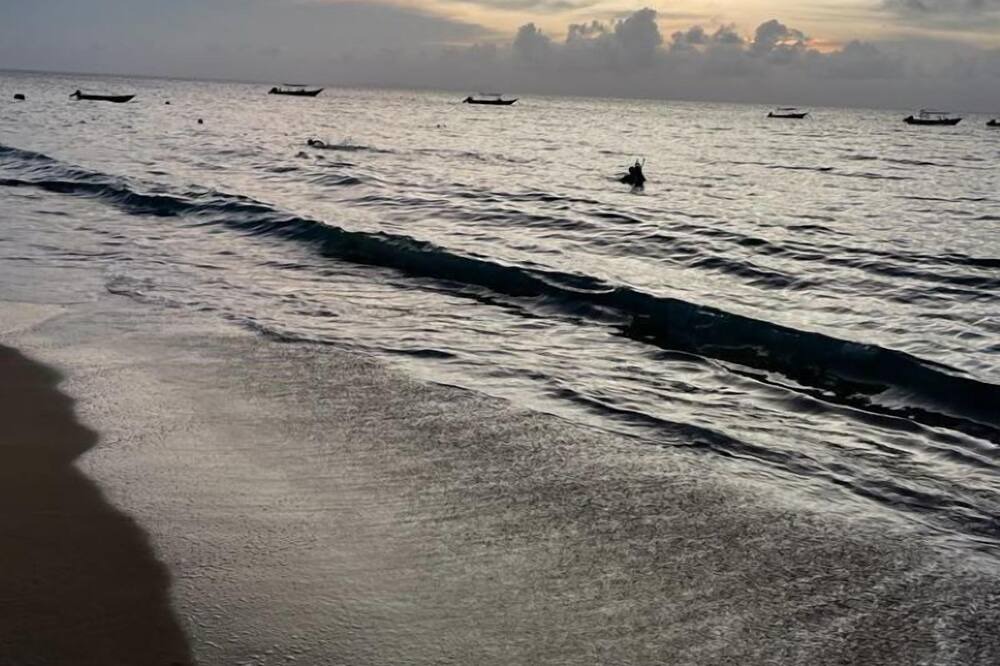 Photo of Others in Tioman Island