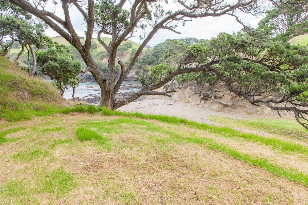 Photo of Outdoor in Taiharuru