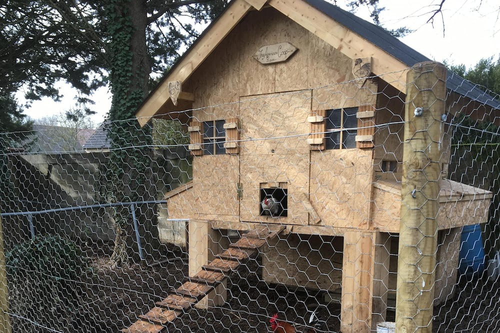 Photo of Others in Diges