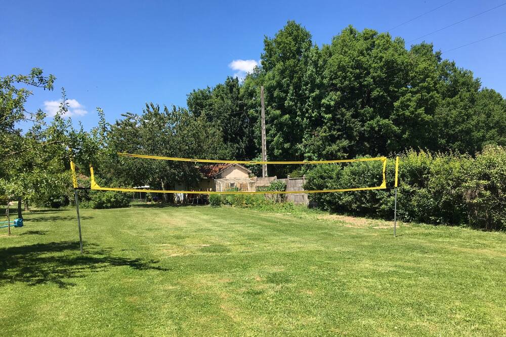 Photo of Others in Diges