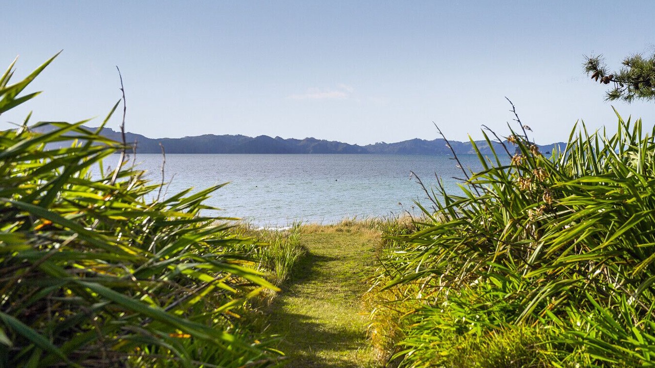 Photo of Others in Cooks Beach