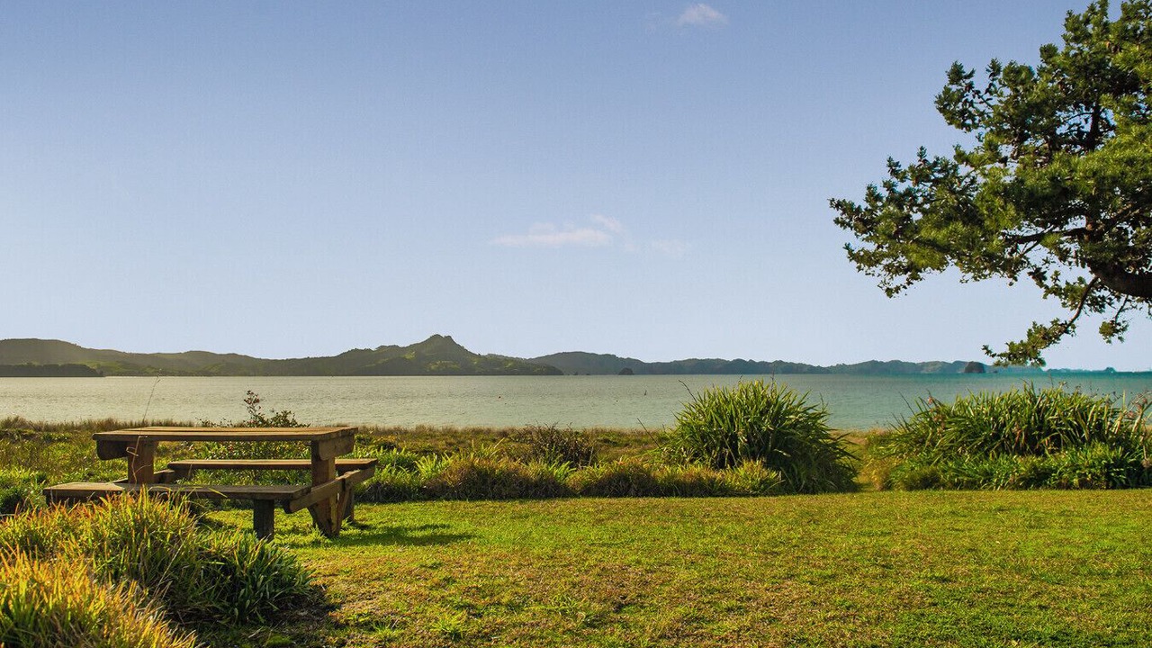 Photo of Outdoor in Cooks Beach