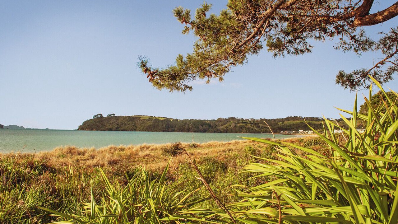 Photo of Others in Cooks Beach