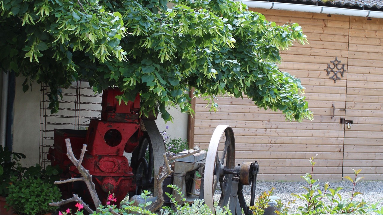 Photo of Outdoor in Lauraguel