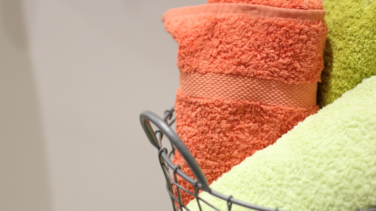 Photo of Bathroom in Lauraguel