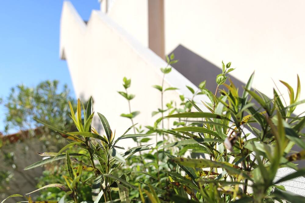 Photo of Outdoor in Allegre Les Fumades