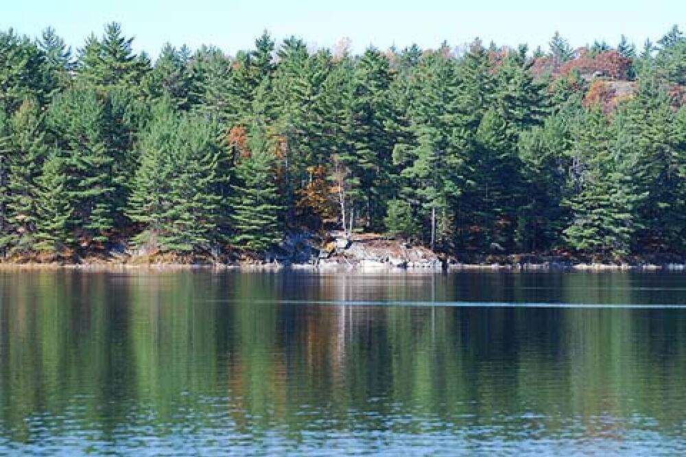 Photo of Outdoor in Lanark Highlands