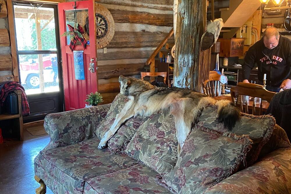 Photo of Livingroom in Lanark Highlands