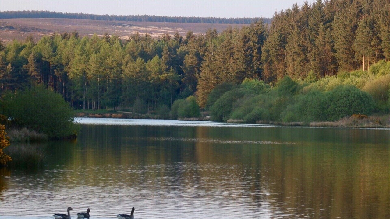 Photo of Outdoor in Osmotherley