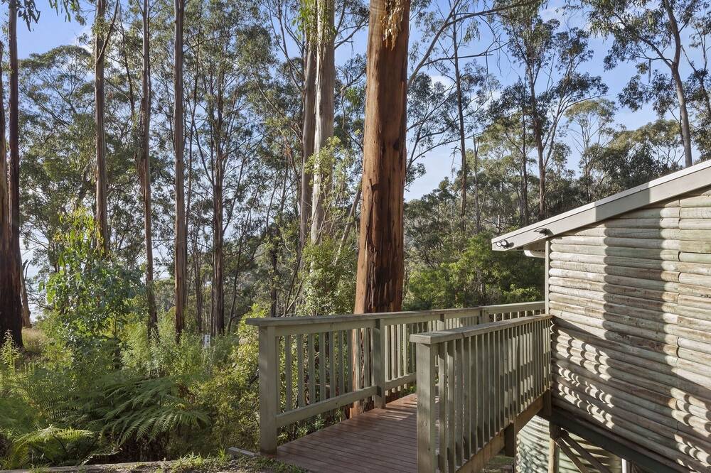 Photo of Others in Wye River