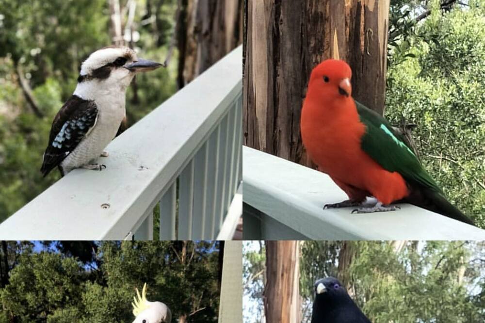 Photo of Others in Wye River