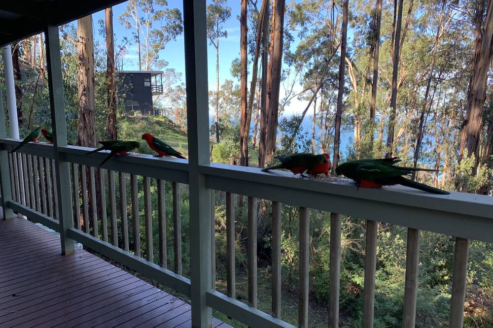Photo of Patio Balcony in Wye River