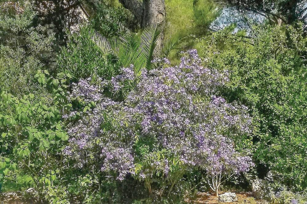 Photo of Others in Caremeau