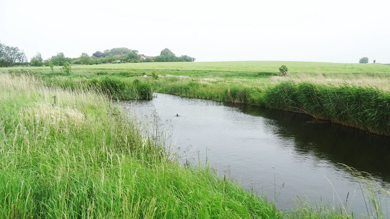 Photo of Outdoor in Borre