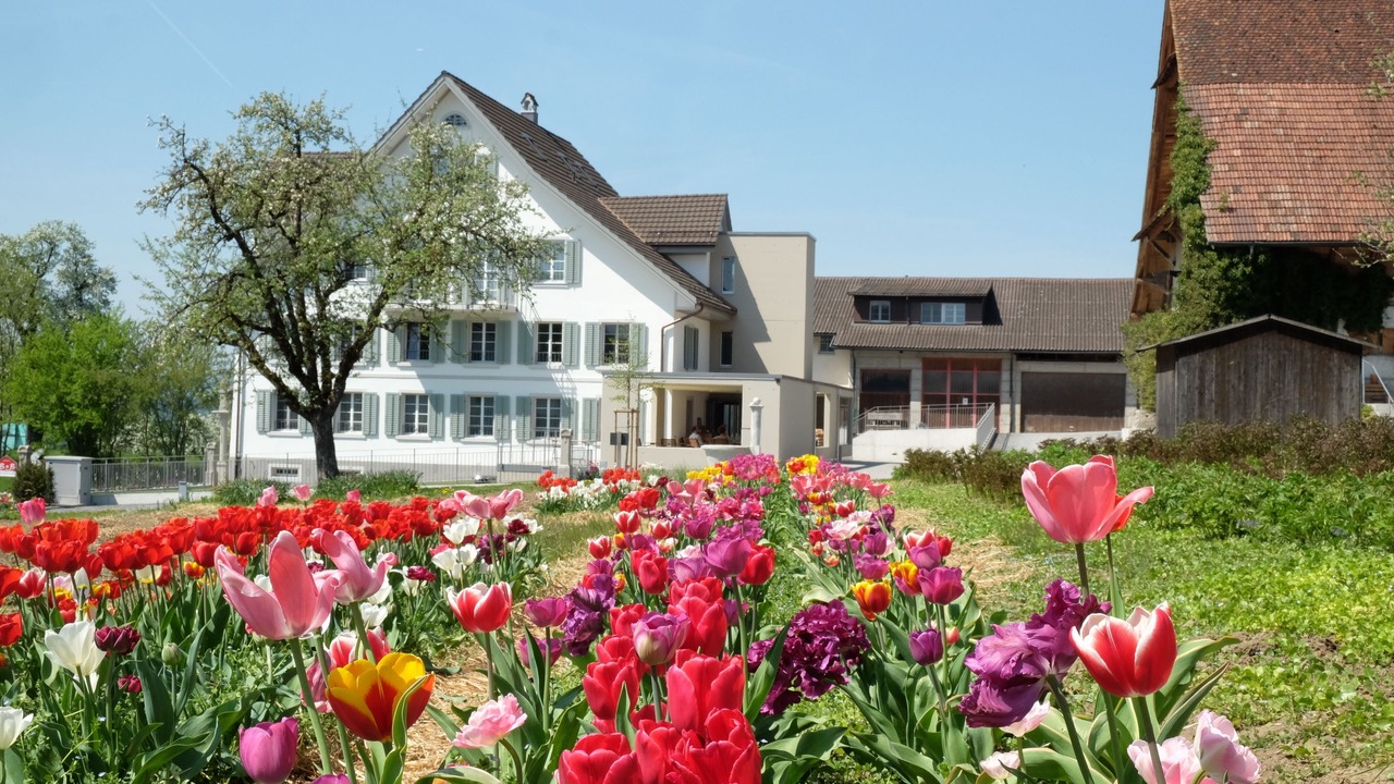 Photo of Outdoor in Oberlunkhofen