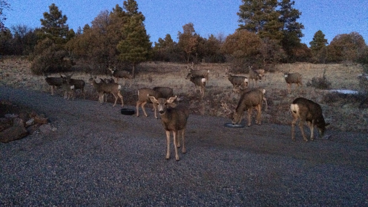 Photo of Outdoor in Rutheron