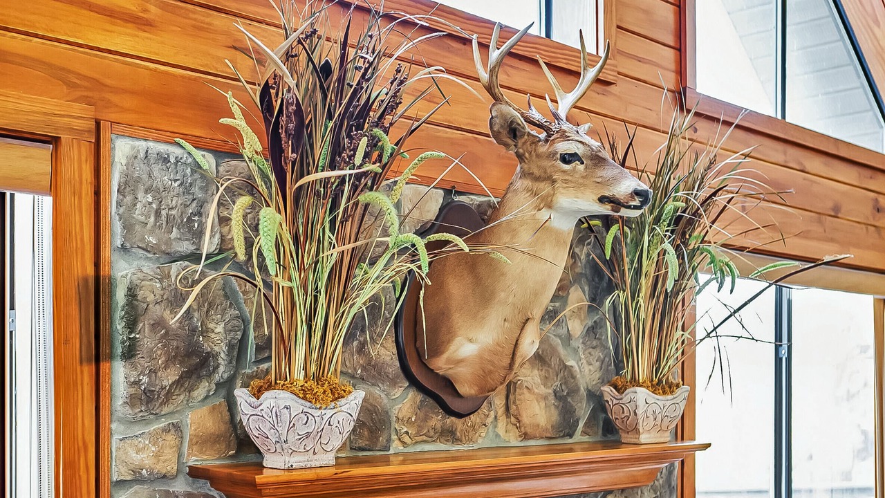 Photo of Others in Pangburn