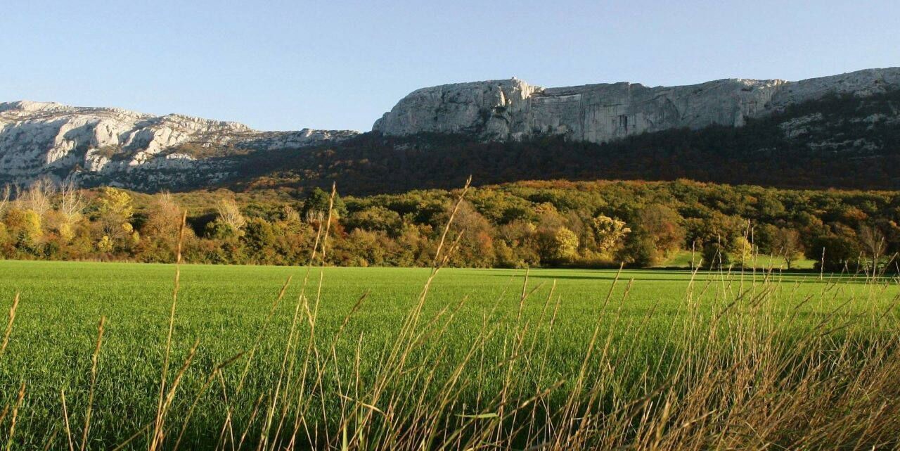 Photo of Outdoor in Saint-Maximin-la-Sainte-Baume