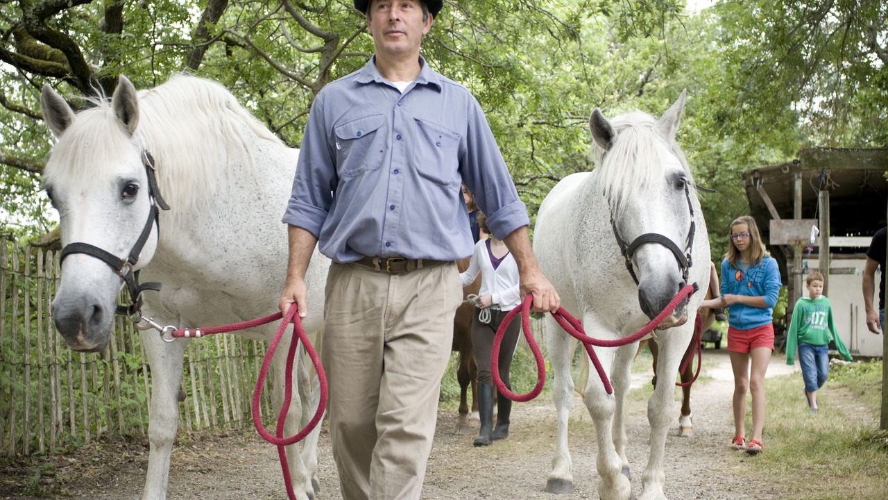 Photo of Others in Villeneuve-sur-Lot