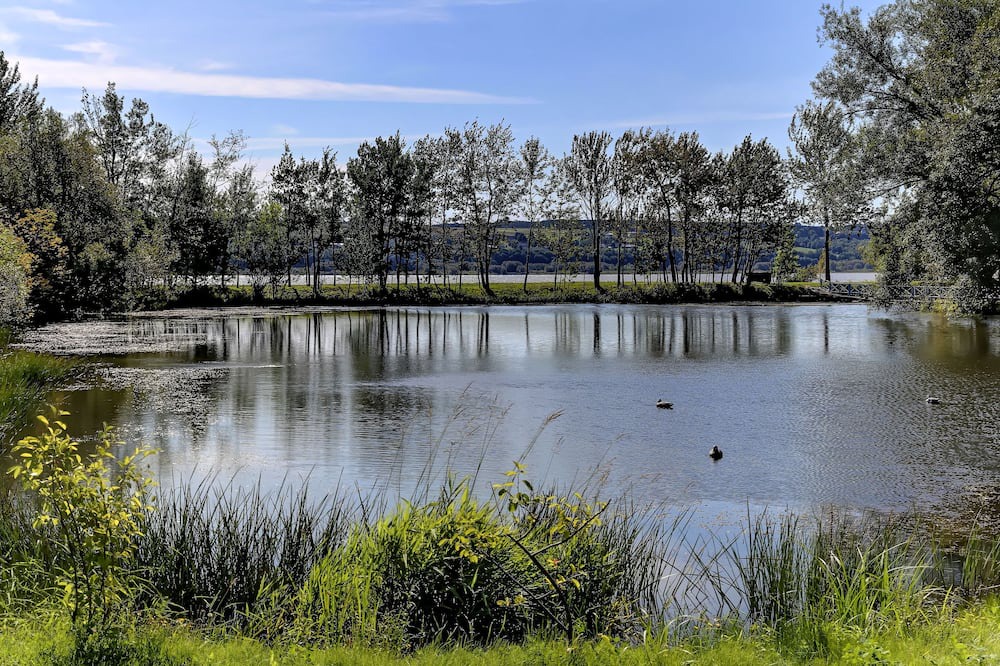 Photo of Outdoor in Chateau-Richer