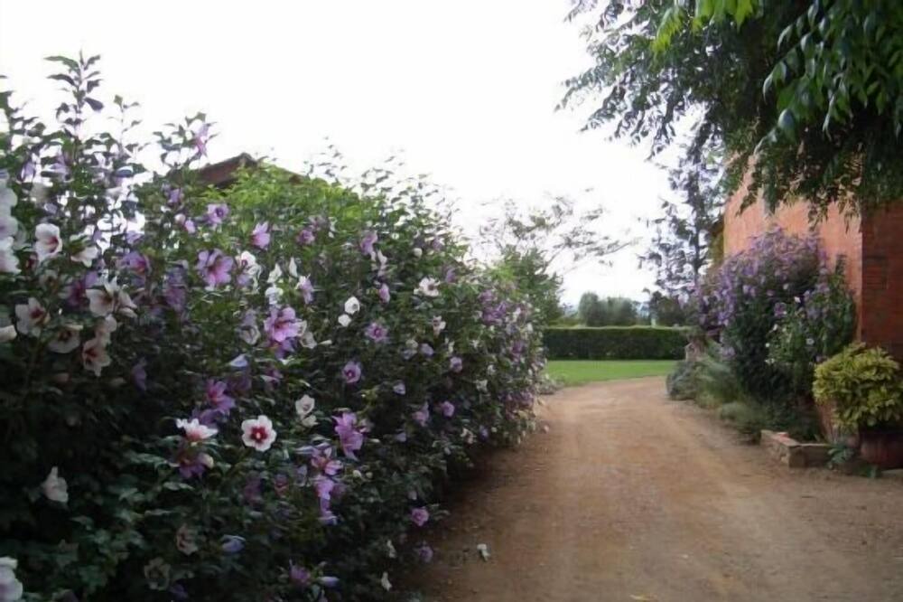 Photo of Outdoor in Fonalleras