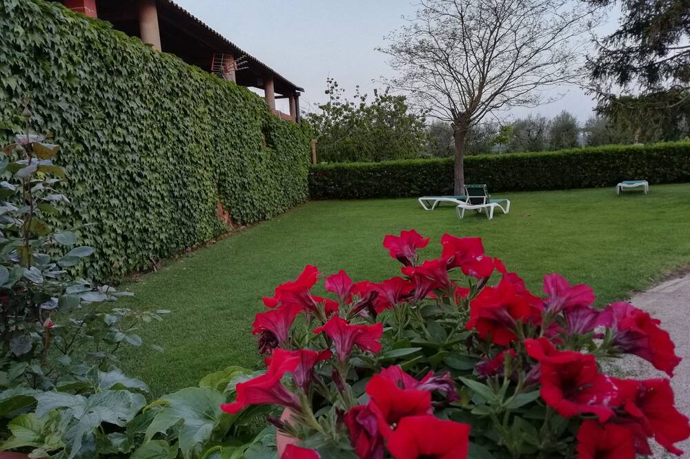 Photo of Outdoor in Fonalleras