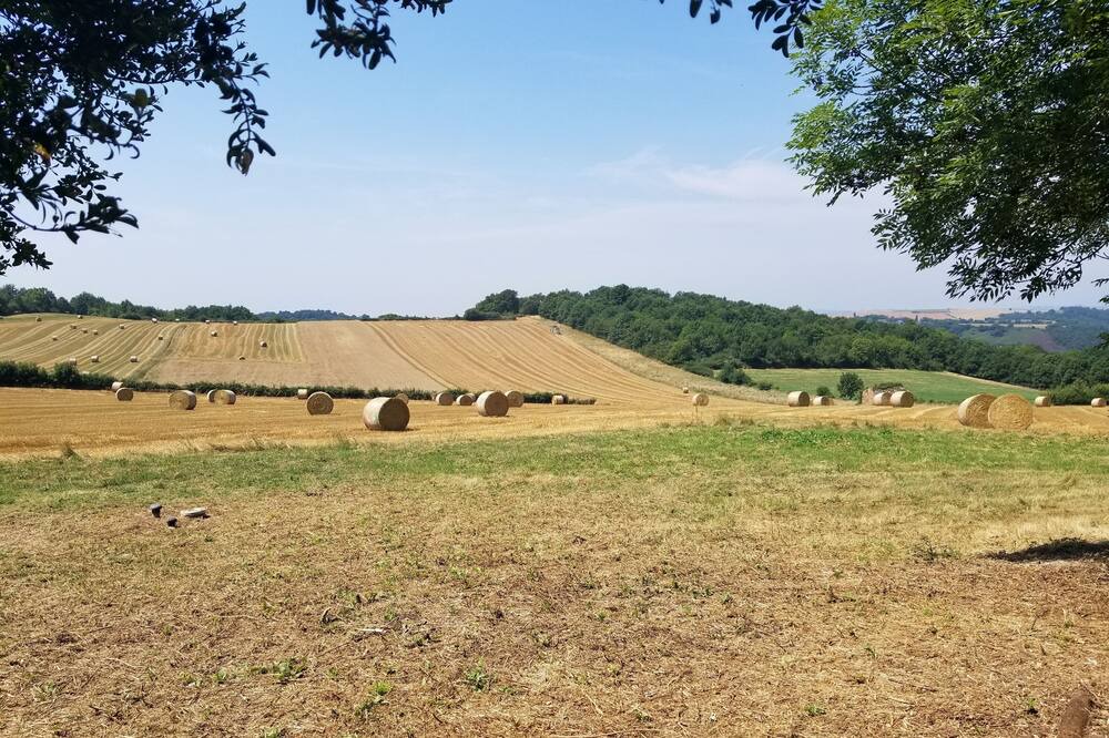 Photo of Others in Pampelonne