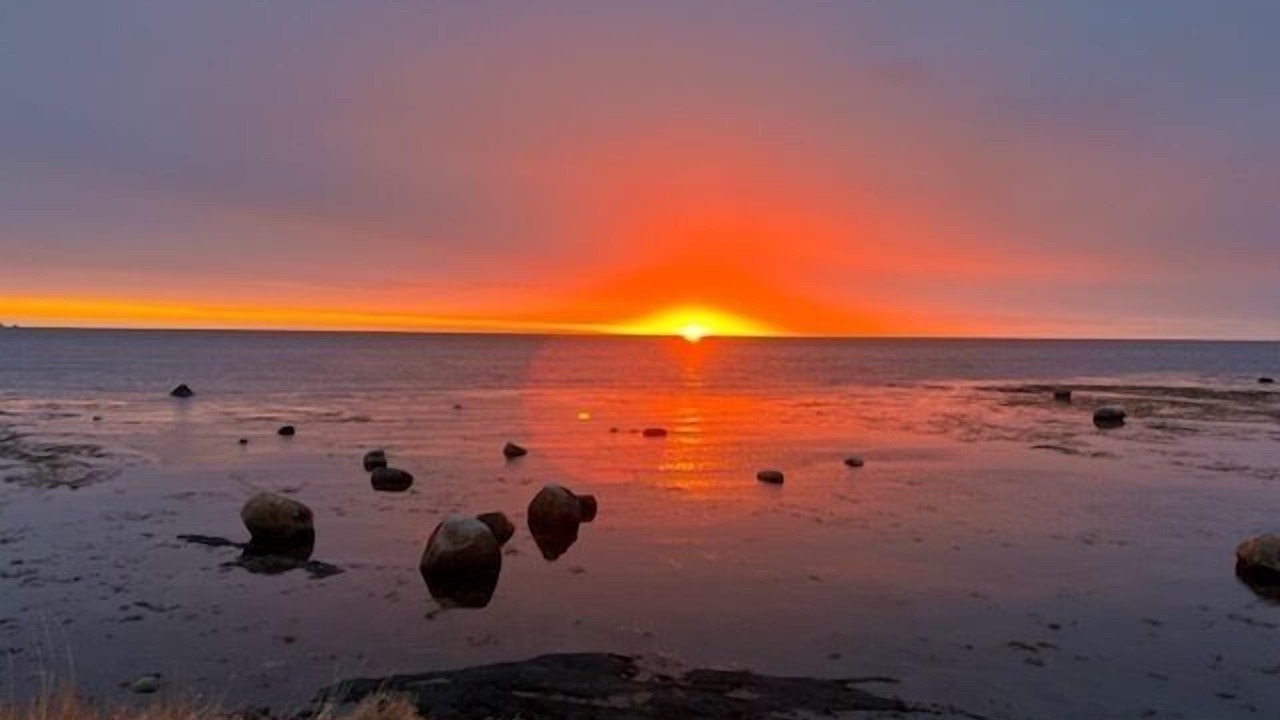 Photo of Others in Rocky Harbour