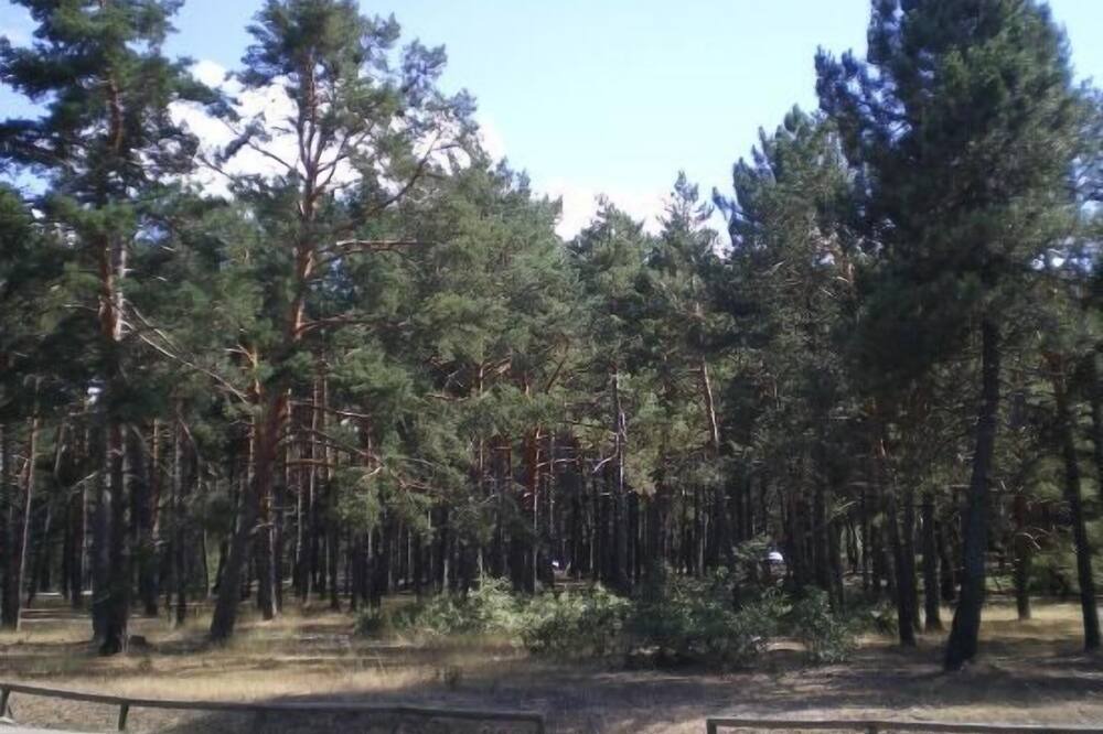 Photo of Outdoor in Abejar