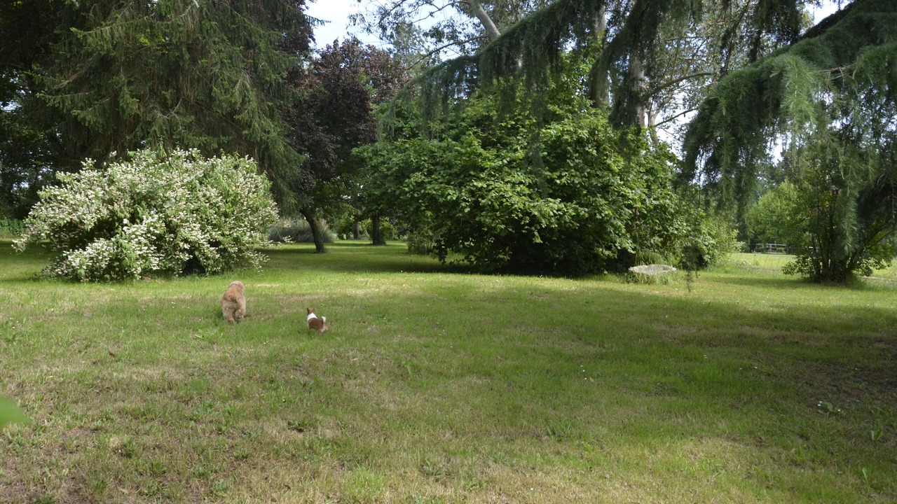 Photo of Others in Berric